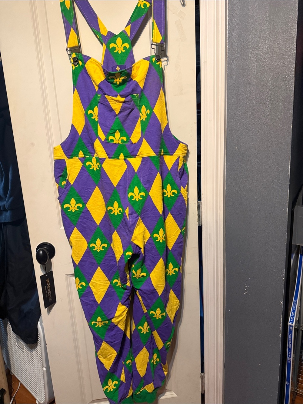 Mardi Gras Fleur-de-Lis Harlequin Overalls